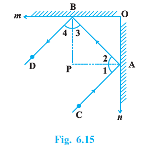 Page 60 Chapter 6 Class 9th NCERT Exemplar
